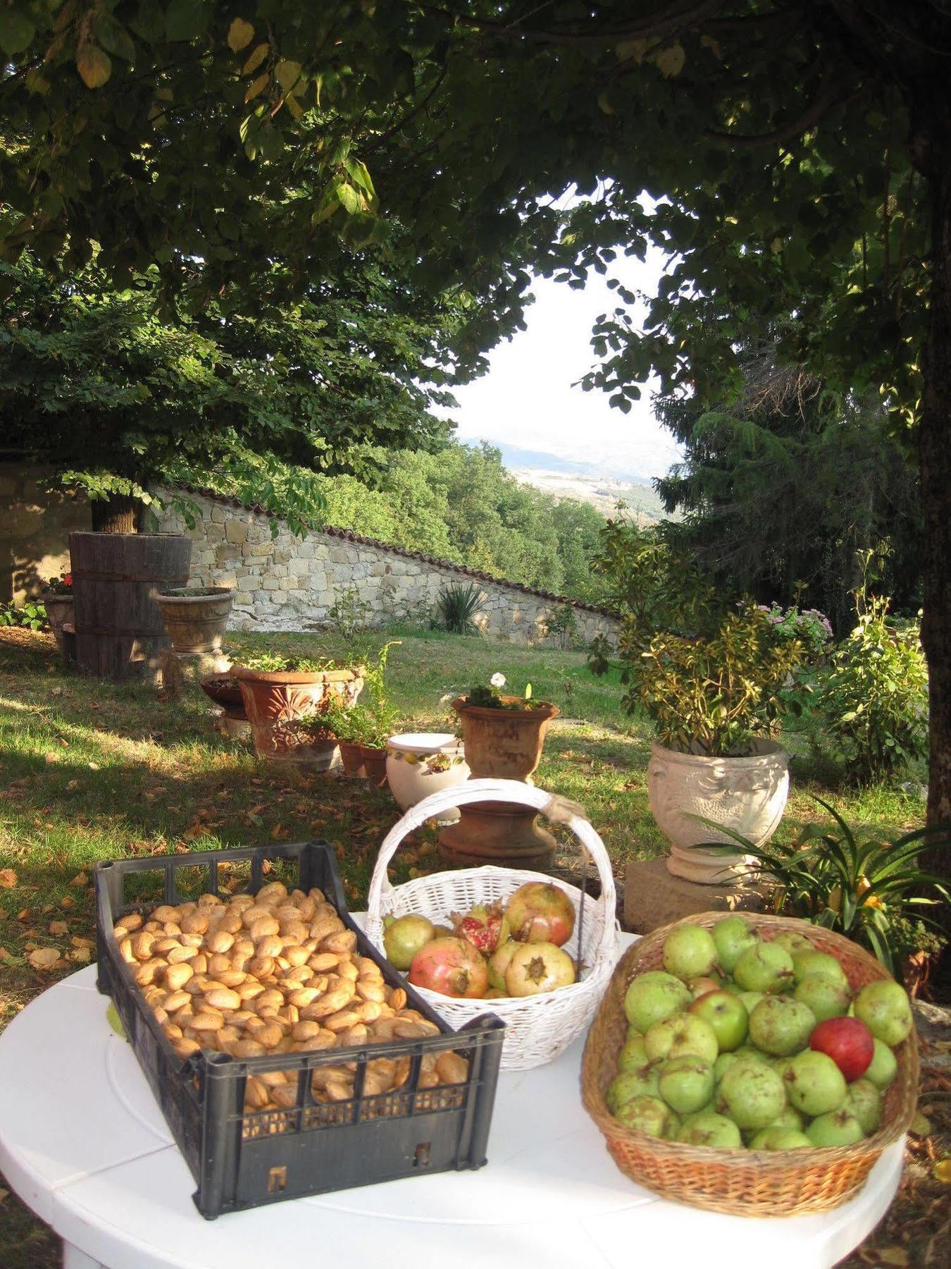 Il Mio Rifugio Guest House Gaggio Montano Luaran gambar